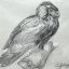 Gaston SUISSE (1896-1988) - Aigle bateleur de profil